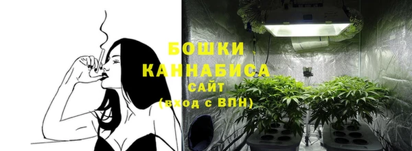 мдпв Володарск