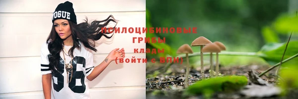 мдпв Володарск