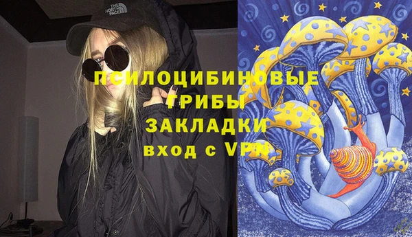 мдпв Володарск