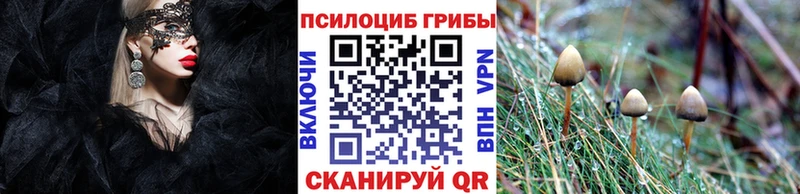 Псилоцибиновые грибы MAGIC MUSHROOMS  купить наркотик  Луховицы 